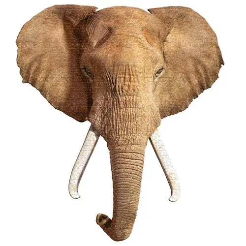 I AM PUZZLE – I AM ELEPHANT